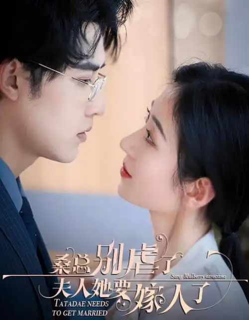 剑与槐花 日番动漫在线观看